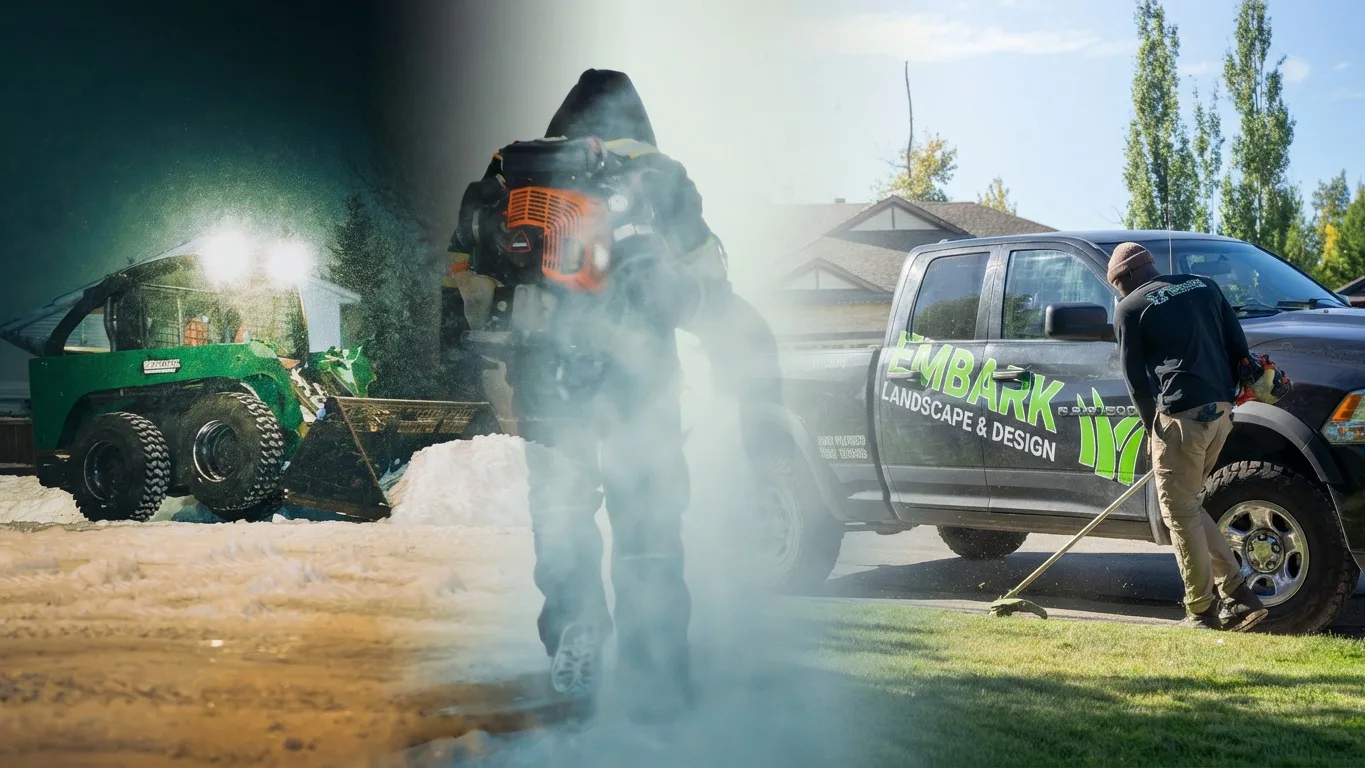 Annual Service Program