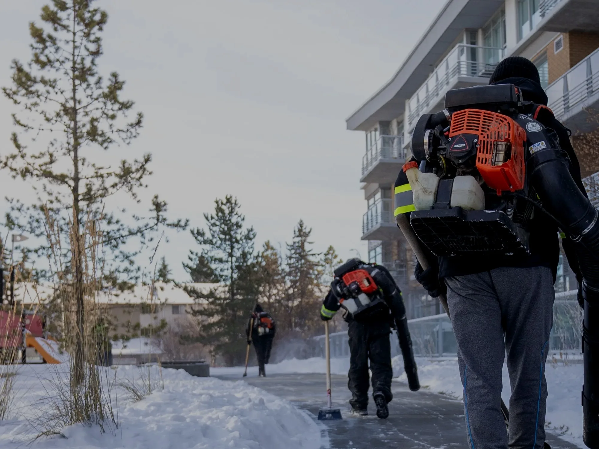 Summer grounds keeping