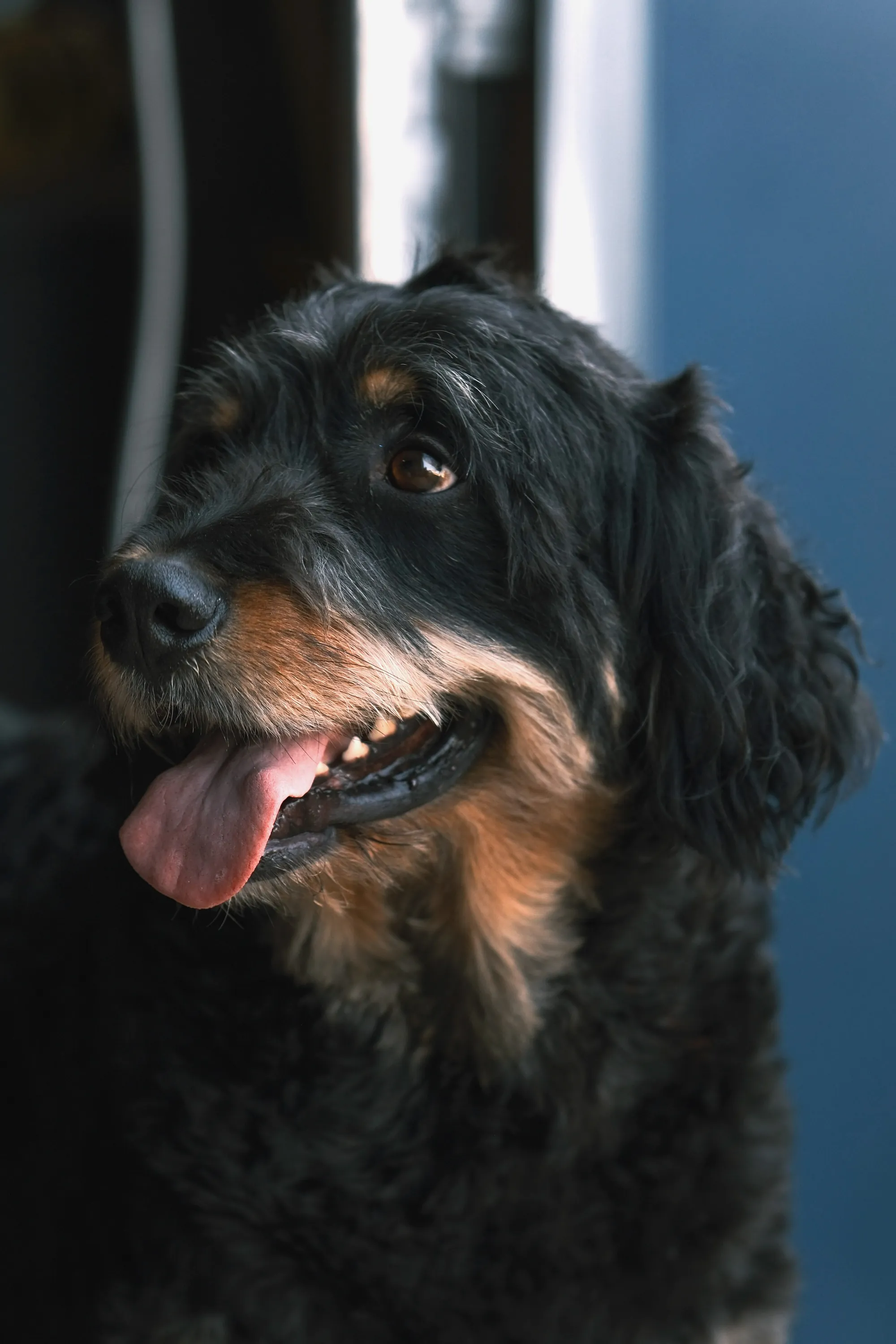 Goose — Loyal Companion, Company Mascot