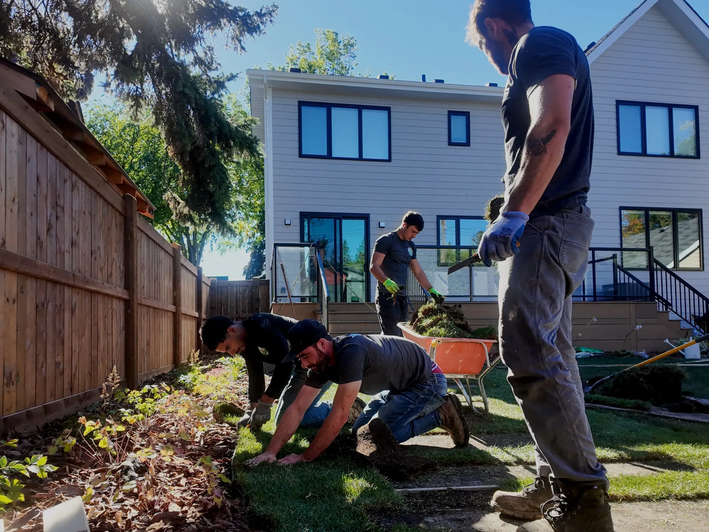 Softscape Installation